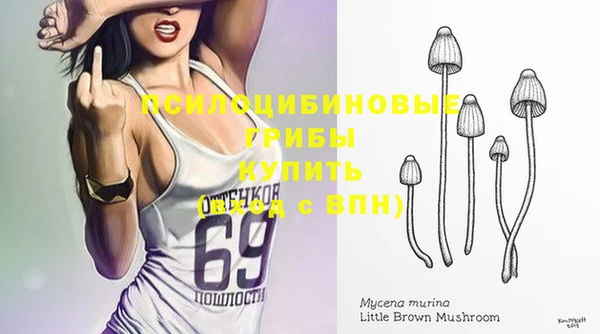 сатива Мегион