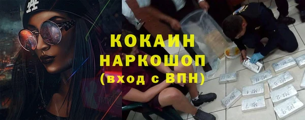 сатива Мегион