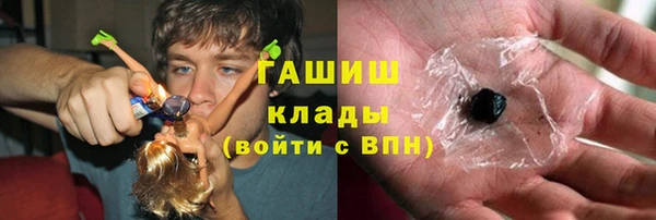 сатива Мегион