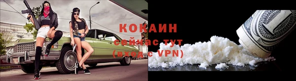 сатива Мегион